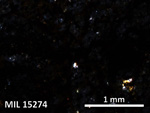 Thin Section Photo of Sample MIL 15274 in Cross-Polarized Light with 5X Magnification
