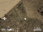 Thin Section Photo of Sample MIL 15285 in Reflected Light with 2.5X Magnification