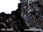 Thin Section Photo of Sample MIL 15285 in Plane-Polarized Light with 5X Magnification