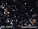 Thin Section Photo of Sample MIL 15293 in Plane-Polarized Light with 5X Magnification