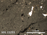 Thin Section Photo of Sample MIL 15293 in Reflected Light with 5X Magnification