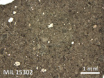 Thin Section Photo of Sample MIL 15302 in Reflected Light with 2.5X Magnification