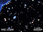 Thin Section Photo of Sample MIL 15304 in Cross-Polarized Light with 2.5X Magnification