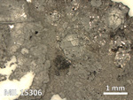 Thin Section Photo of Sample MIL 15306 in Reflected Light with 2.5X Magnification
