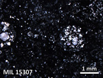 Thin Section Photo of Sample MIL 15307 in Plane-Polarized Light with 2.5X Magnification