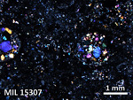 Thin Section Photo of Sample MIL 15307 in Cross-Polarized Light with 2.5X Magnification