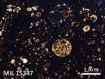 Thin Section Photo of Sample MIL 15347 in Plane-Polarized Light with 2.5X Magnification