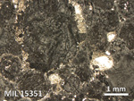 Thin Section Photo of Sample MIL 15351 in Reflected Light with 2.5X Magnification