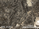 Thin Section Photo of Sample MIL 15351 in Reflected Light with 5X Magnification
