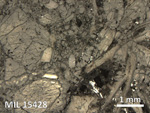 Thin Section Photo of Sample MIL 15428 in Reflected Light with 2.5X Magnification