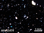 Thin Section Photo of Sample MIL 15479 in Cross-Polarized Light with 2.5X Magnification