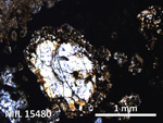Thin Section Photo of Sample MIL 15480 in Plane-Polarized Light with 5X Magnification