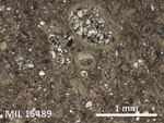 Thin Section Photo of Sample MIL 15489 in Reflected Light with 5X Magnification