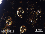 Thin Section Photo of Sample MIL 15511 in Plane-Polarized Light with 2.5X Magnification