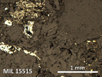 Thin Section Photo of Sample MIL 15515 in Reflected Light with 5X Magnification