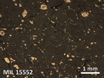 Thin Section Photo of Sample MIL 15552 in Reflected Light with 2.5X Magnification
