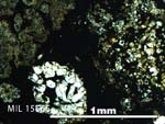 Thin Section Photo of Sample MIL 15565 in Plane-Polarized Light with 5X Magnification
