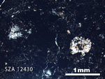 Thin Section Photograph of Sample SZA 12430 in Plane-Polarized Light