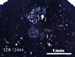 Thin Section Photo of Sample SZA 12444 in Plane-Polarized Light with 2.5X Magnification