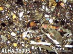 Thin Section Photograph of Sample ALHA76005 in Cross-Polarized Light