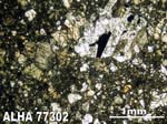 Thin Section Photograph of Sample ALHA77302 in Plane-Polarized Light