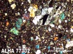 Thin Section Photograph of Sample ALHA77302 in Cross-Polarized Light