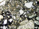 Thin Section Photograph of Sample ALHA78132 in Plane-Polarized Light
