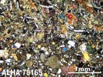 Thin Section Photograph of Sample ALHA78165 in Cross-Polarized Light