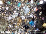 Thin Section Photograph of Sample ALHA79017 in Cross-Polarized Light