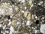 Thin Section Photograph of Sample ALHA81007 in Plane-Polarized Light