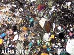 Thin Section Photograph of Sample ALHA81007 in Cross-Polarized Light