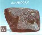 West View of Sample ALHA81009