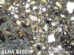 Thin Section Photograph of Sample ALHA81009 in Plane-Polarized Light