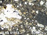 Thin Section Photograph of Sample ALHA81010 in Plane-Polarized Light
