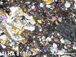 Thin Section Photograph of Sample ALHA81010 in Cross-Polarized Light
