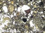 Thin Section Photograph of Sample ALHA81012 in Plane-Polarized Light