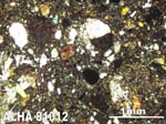 Thin Section Photograph of Sample ALHA81012 in Cross-Polarized Light