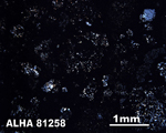 Thin Section Photo of Sample ALH A81258 in Cross-Polarized Light