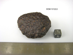 Lab Photo of Sample DOM 10122 Displaying South Orientation