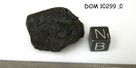 Lab Photo of Sample DOM 10299 Showing Bottom View