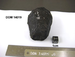Lab Photo of Sample DOM 14019 Displaying West Orientation