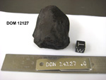 Lab Photo of Sample DOM 14127 Displaying West Orientation