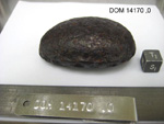 Lab Photo of Sample DOM 14170 Displaying South Orientation