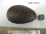 Lab Photo of Sample DOM 14170 Displaying Top Orientation