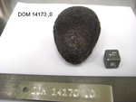 Lab Photo of Sample DOM 14170 Displaying West Orientation