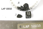 Lab Photo of Sample LAP 10032 Showing Group View