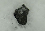 Close Up of Sample MIL 091010 Encased in Ice Block