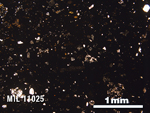 Thin Section Photo of Sample MIL 11025 in Plane-Polarized Light with 2.5X Magnification