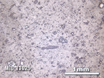 Thin Section Photo of Sample MIL 11025 in Reflected Light with 2.5X Magnification