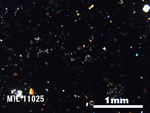 Thin Section Photo of Sample MIL 11025 in Cross-Polarized Light with 2.5X Magnification